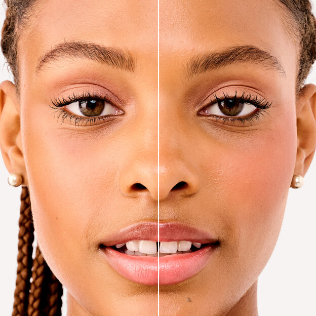 Terra Model before and after
